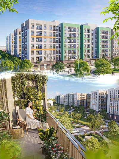 Dự án đặc biệt