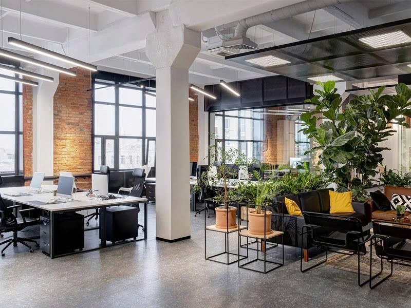 Cách Chọn Thuê Văn Phòng Có Phong Thủy Tốt Nhất Giúp Doanh Nghiệp Phát Triển Bền Vững